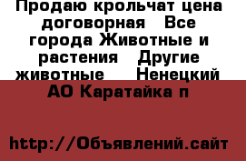 Продаю крольчат цена договорная - Все города Животные и растения » Другие животные   . Ненецкий АО,Каратайка п.